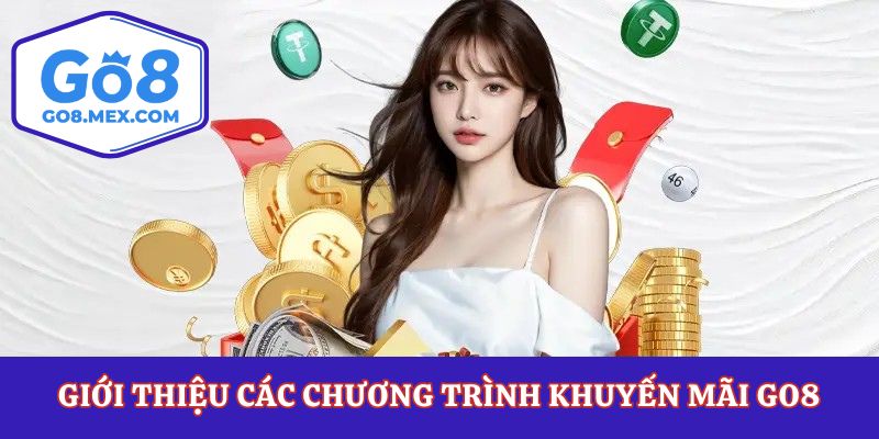 Giới thiệu các chương trình khuyến mãi Go8